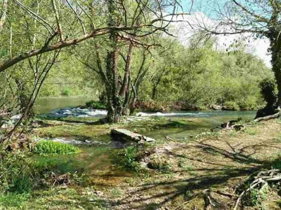 Villa Katja Omiš Dış mekan fotoğraf
